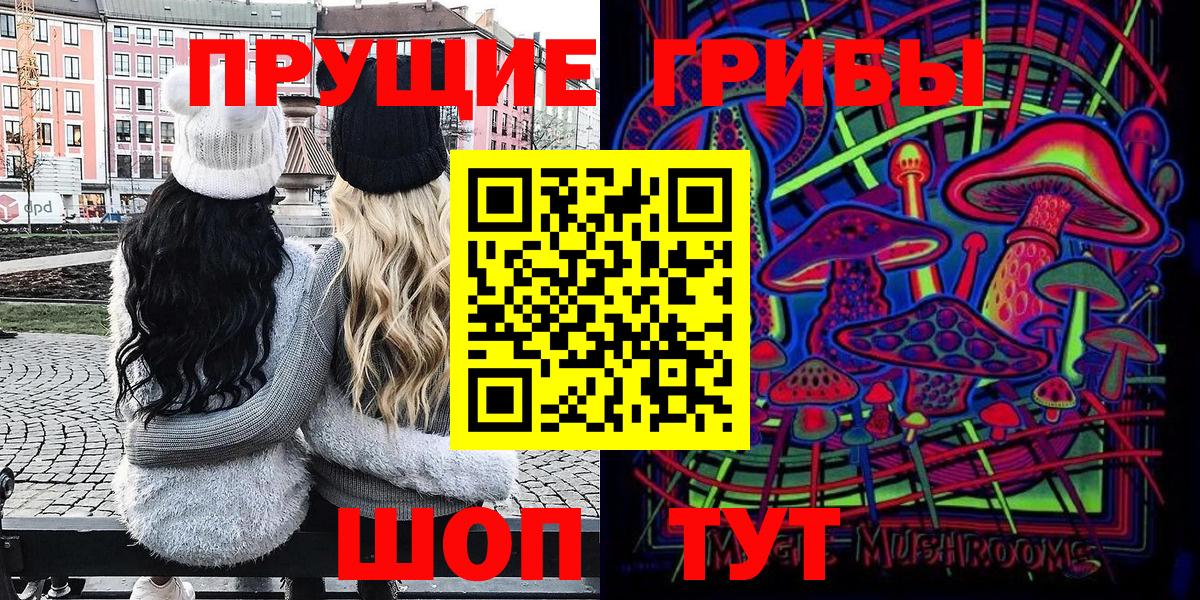Псилоцибиновые грибы мицелий Ивантеевка