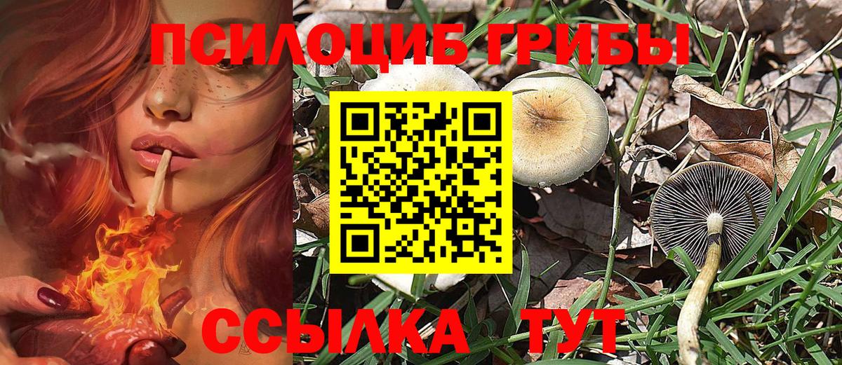 МЕТ  Мефедрон   Вход с VPN  APVP СК   Купить наркоту  Бошки Шишки  Cocaine  Ивантеевка  ГАШ  NBOMe 
