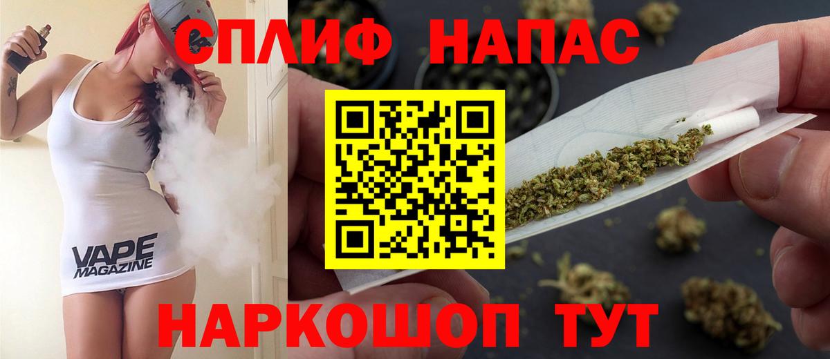Каннабис сатива Ивантеевка